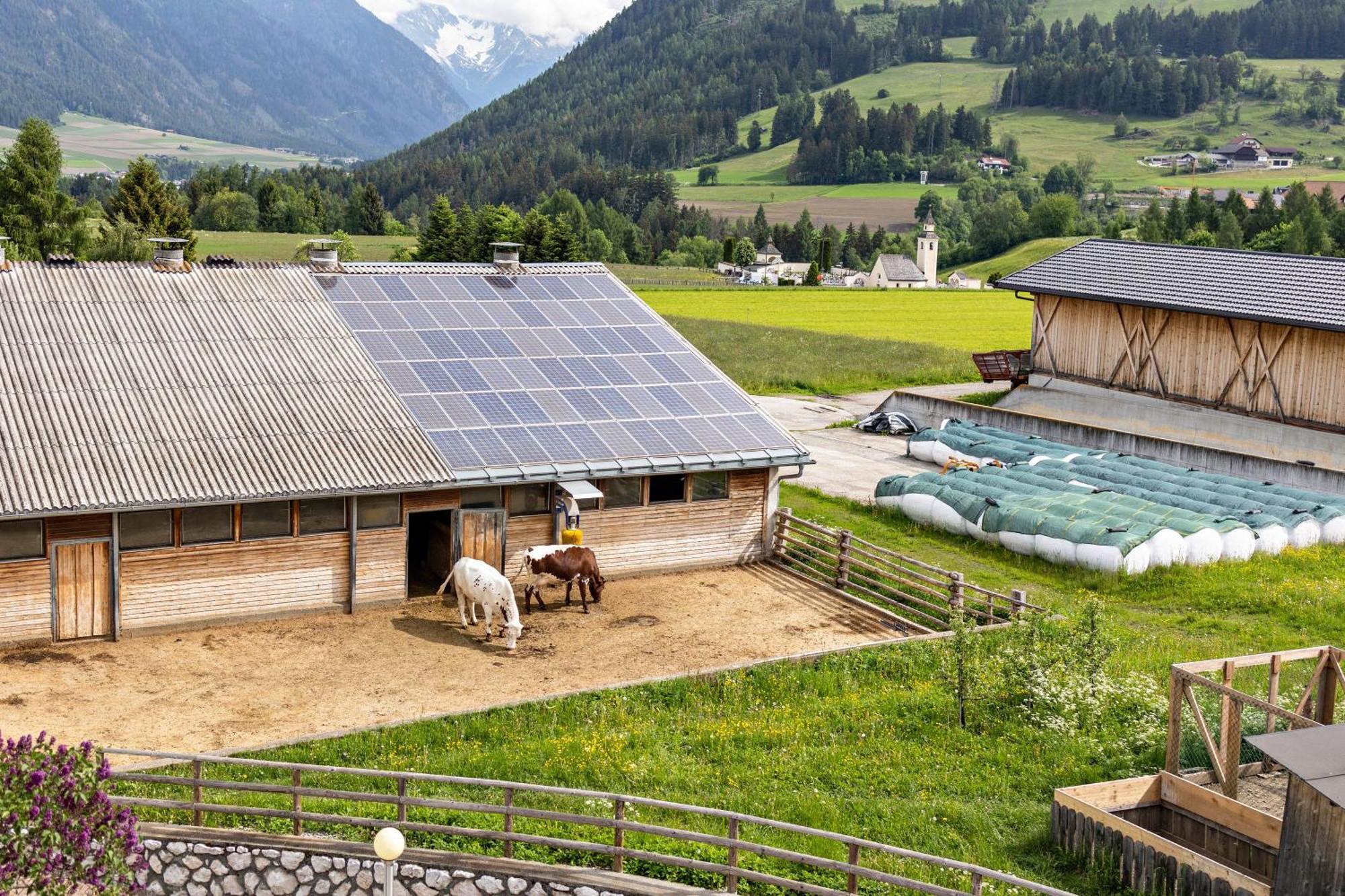 Oberhoelzlhof Valdaora di Sopra Zewnętrze zdjęcie